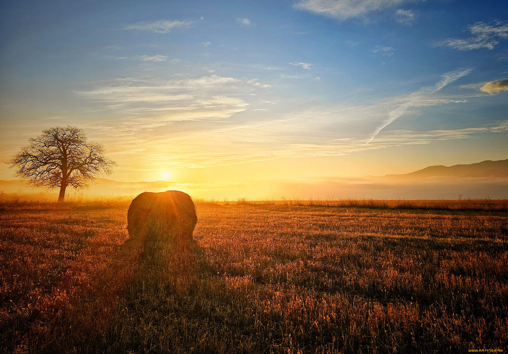 , , , , , , , , , , , 